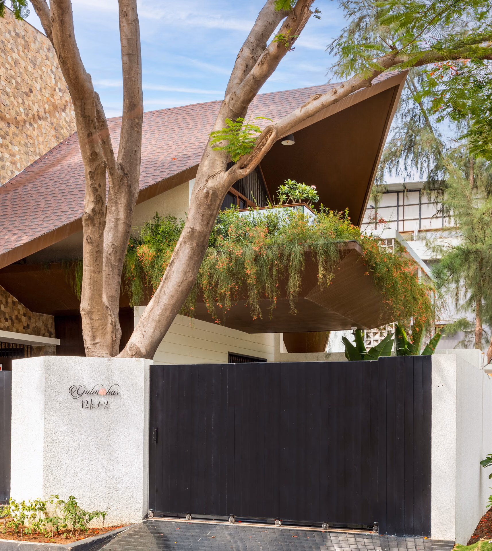 The Canopy House 2