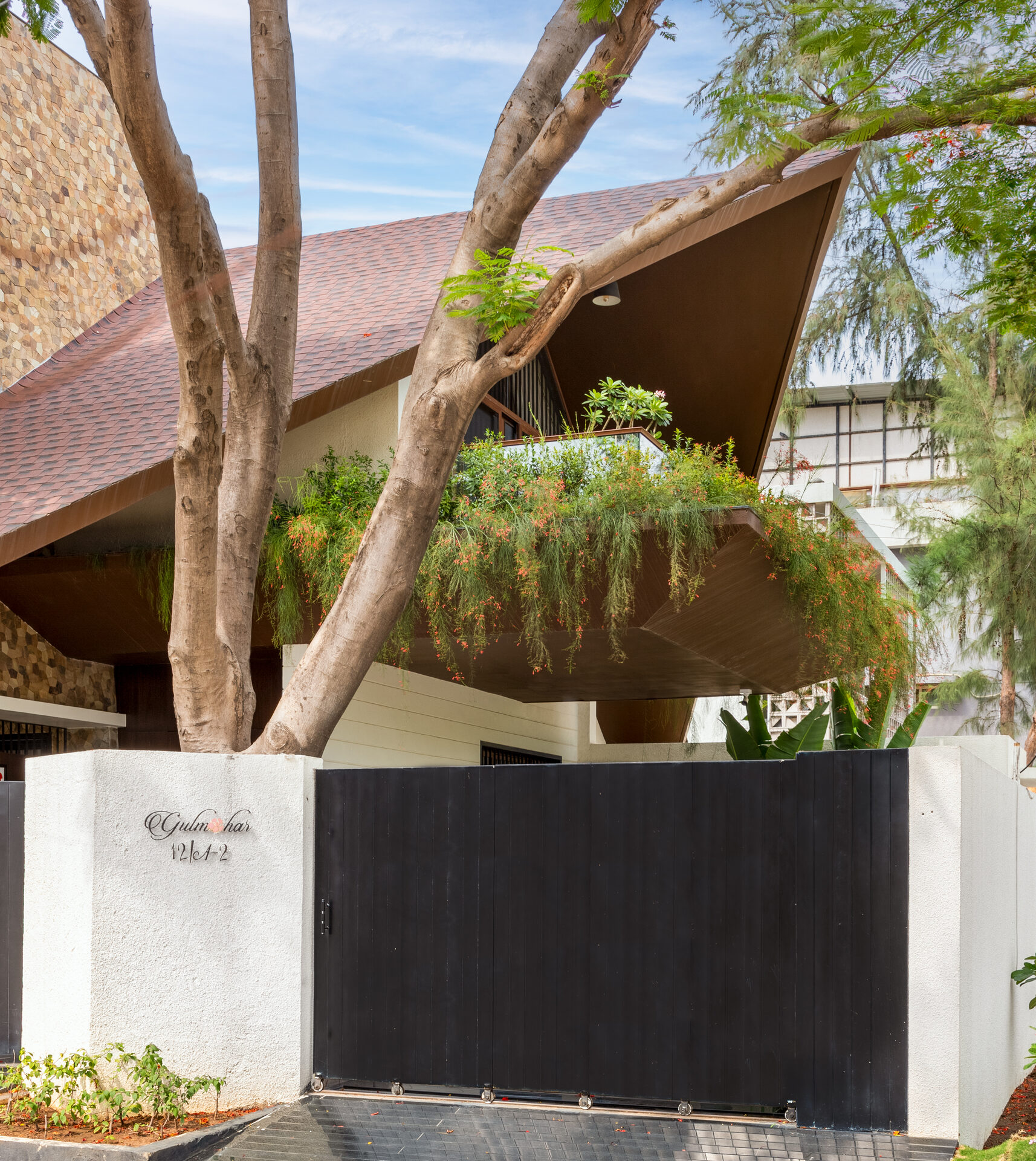 The Canopy House 2