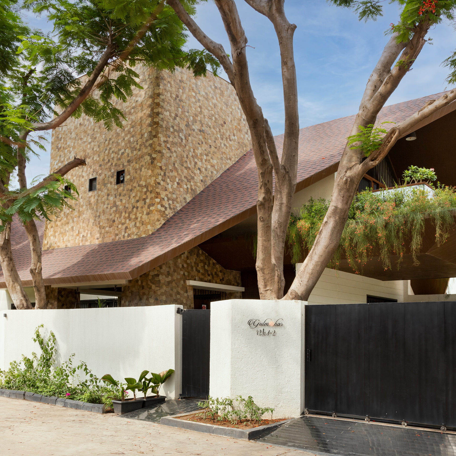 The Canopy House 3